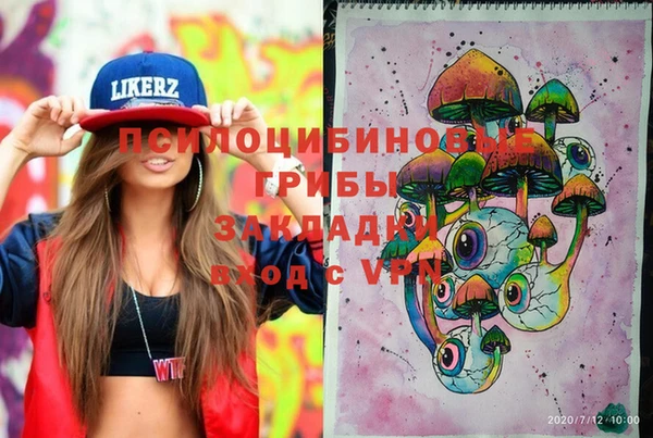 мдпв Балахна