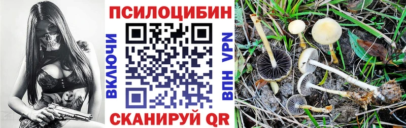 Галлюциногенные грибы Cubensis  MEGA ссылки  Кировск 
