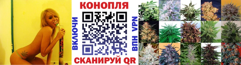 хочу наркоту  Кировск  Каннабис гибрид 